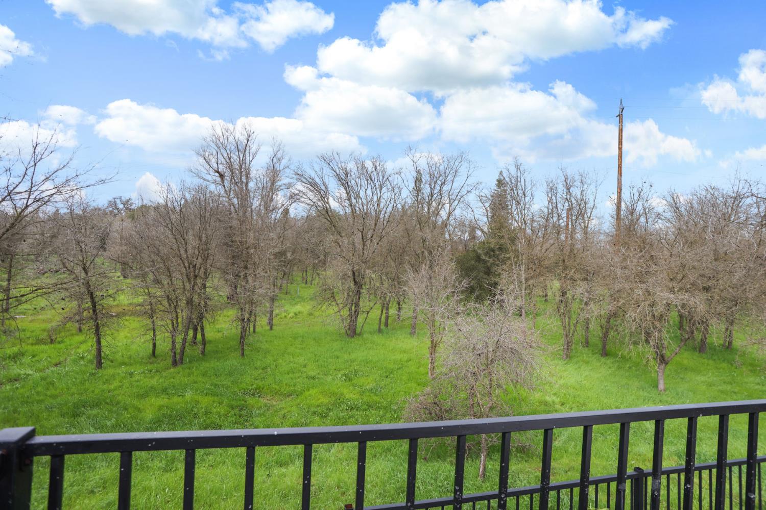1829 Nighthawk Circle Roseville, CA 95661 - Photo 34 of 34 a view of a green yard