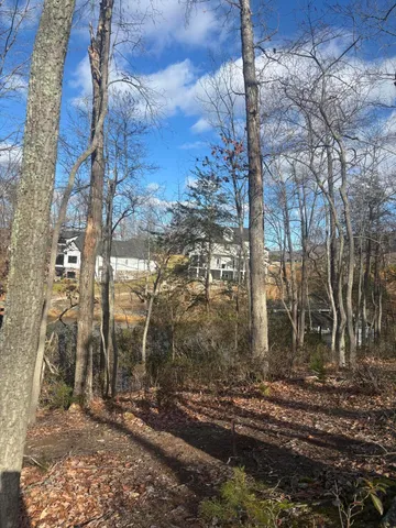 a view of a backyard of the house