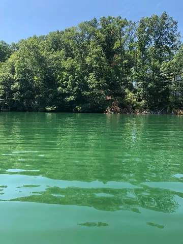 a view of a lake view