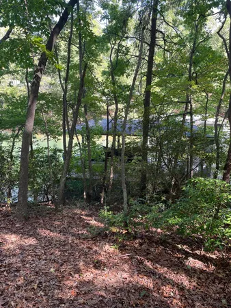 a view of outdoor space and trees