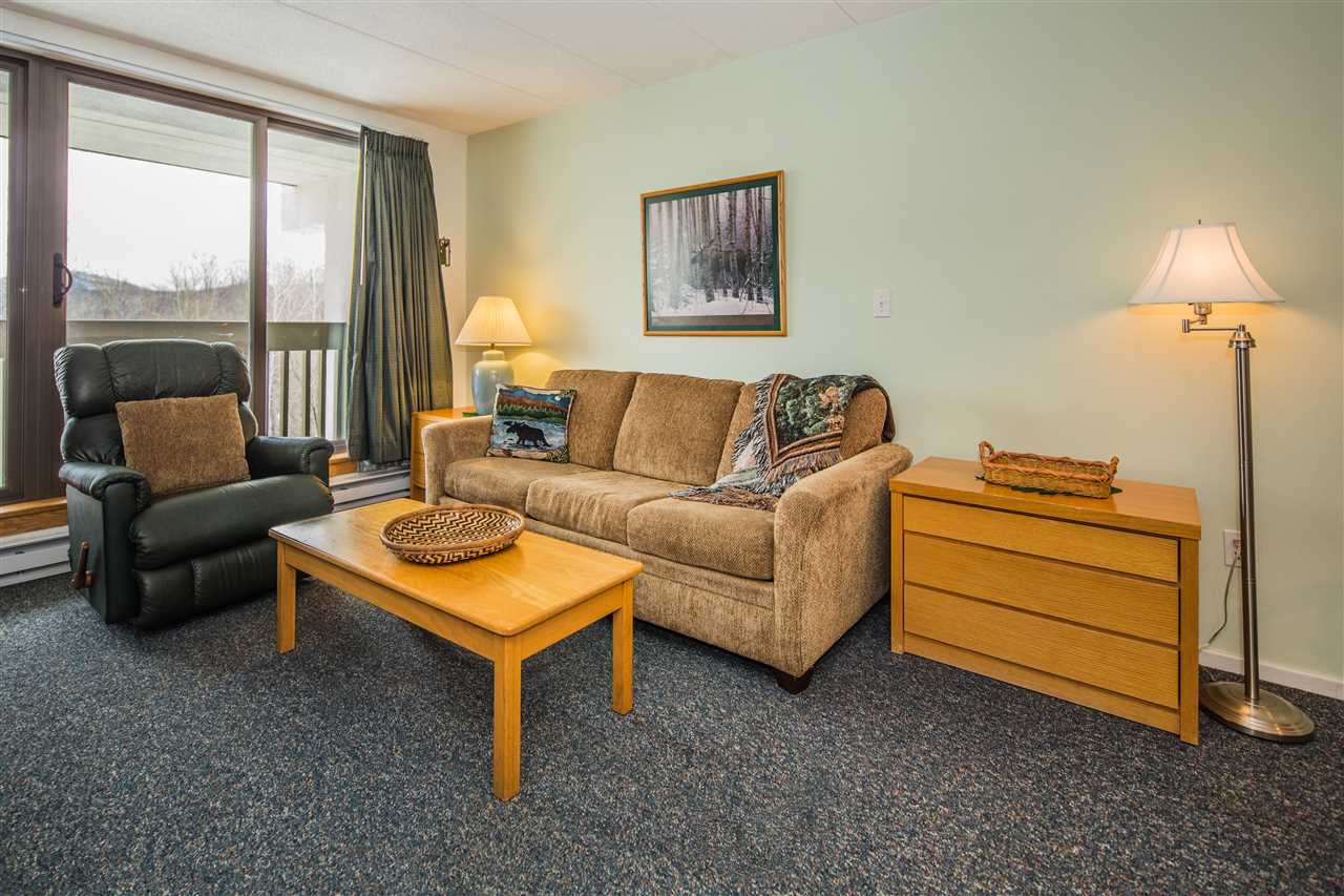 255 Old Mill Road, Unit F13 Killington, VT 05751 - Photo 4 of 17 Gallery Image 4