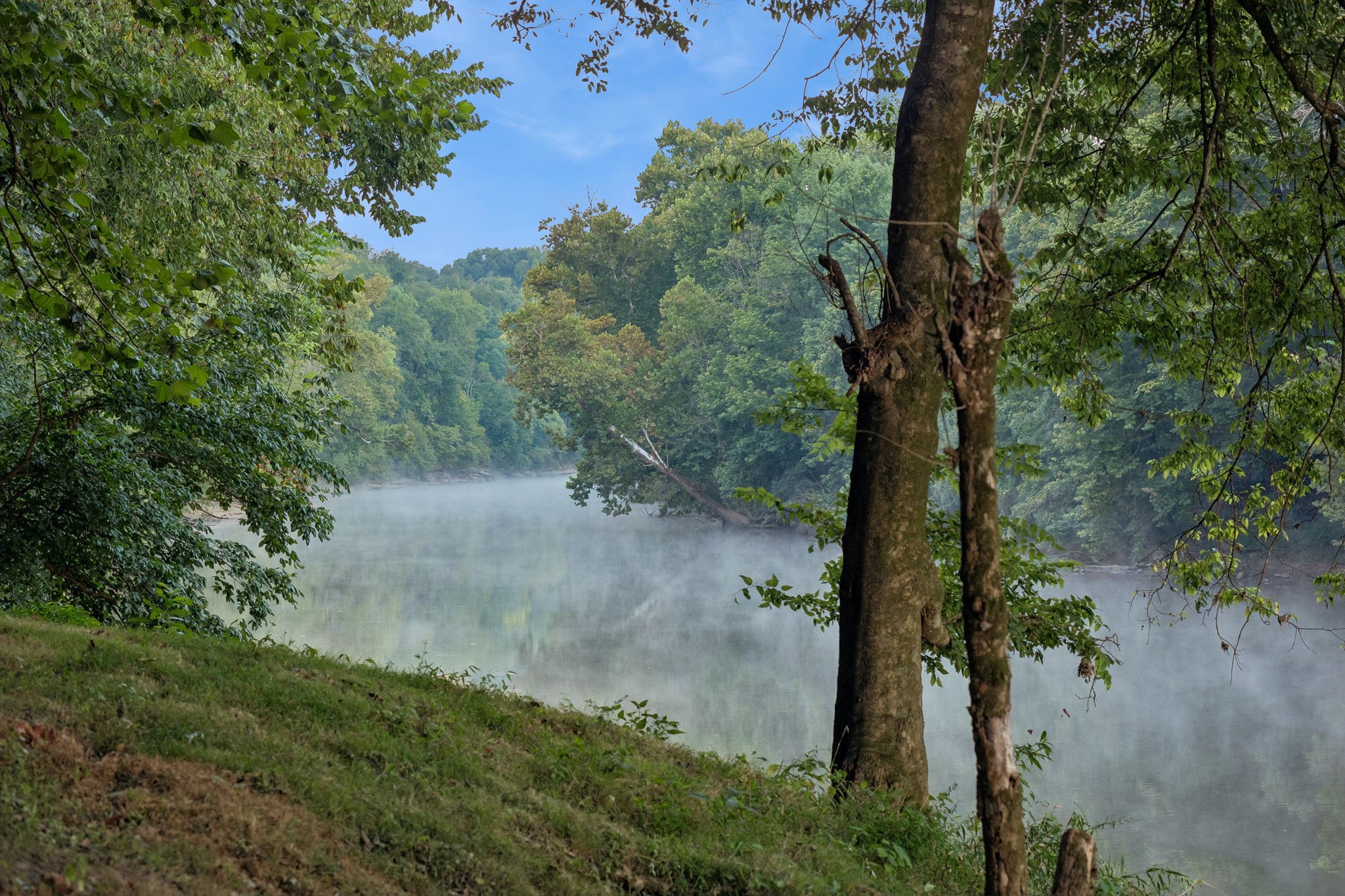 3680 Clark Road Lewisburg, TN 37091 - Photo 4 of 60 Gallery Image 4