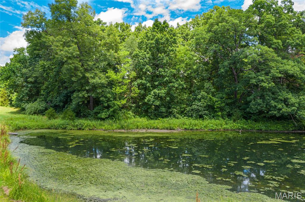 11 Dayspring Litchfield, IL 62056 - Photo 16 of 17