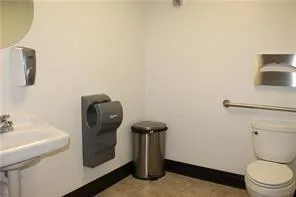 a close up of a tree in a yard