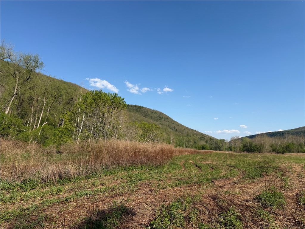 Lot 3 McChesney Road Cameron, NY 14819 - Photo 7 of 21