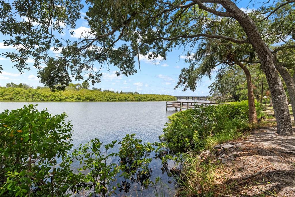 809 Timeless Moss Drive Ruskin, FL 33570 - Photo 67 of 76