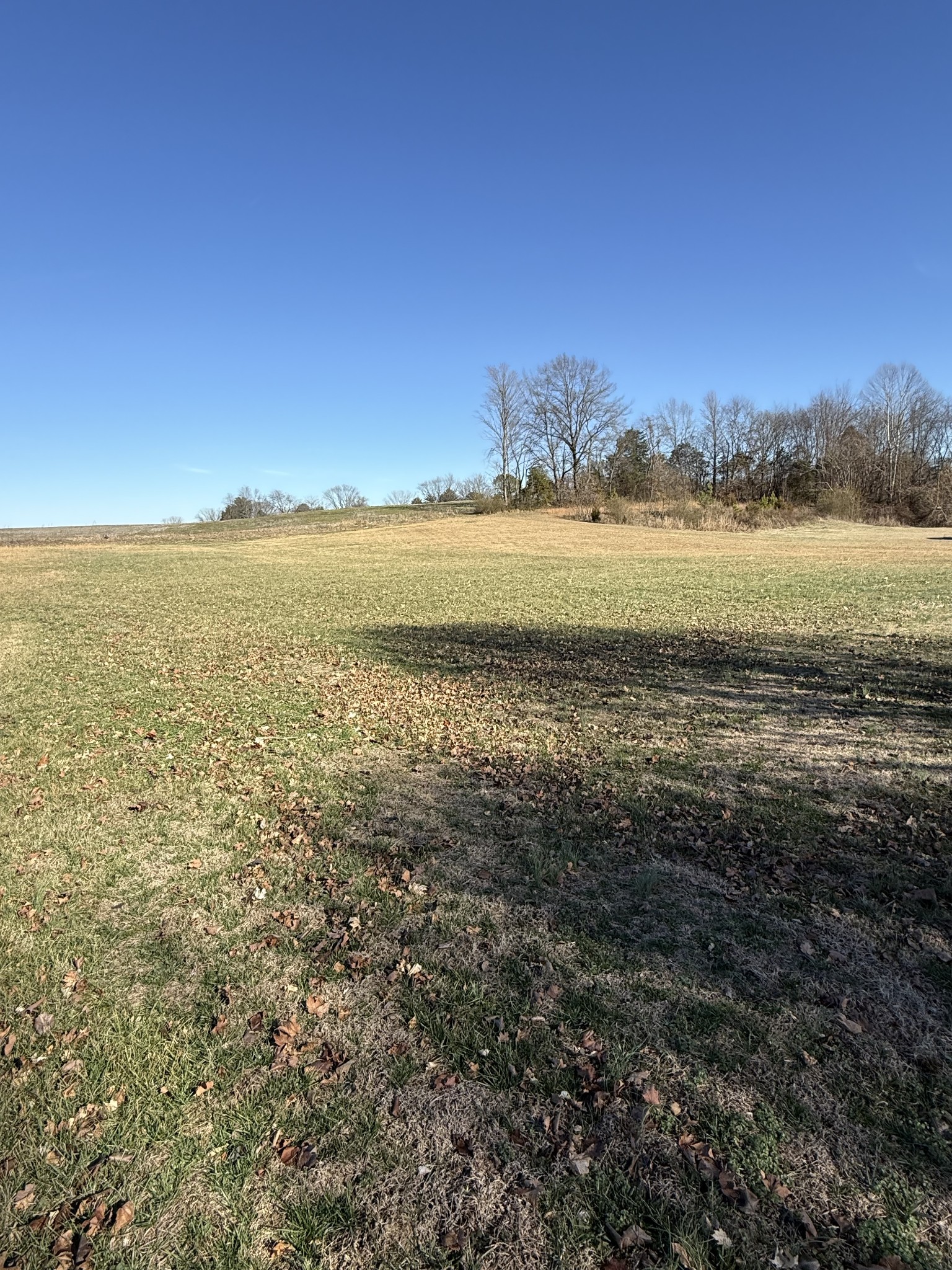 820 State Rte 52 Portland, TN 37148 - Photo 3 of 12 a view of an ocean from a city