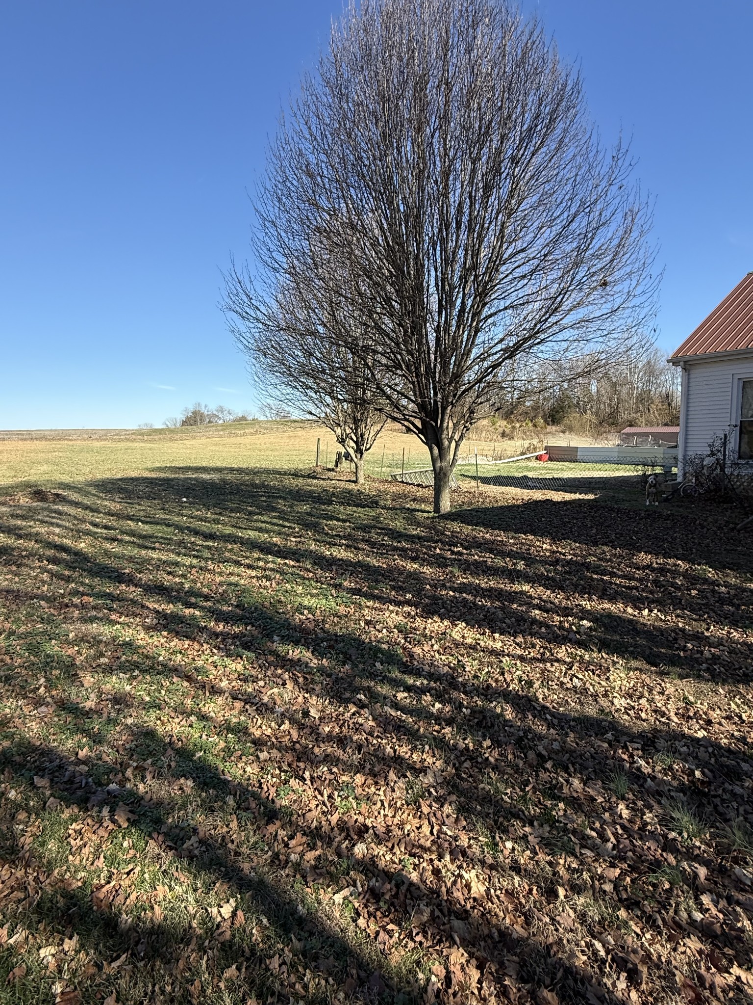 820 State Rte 52 Portland, TN 37148 - Photo 4 of 12 a view of an ocean