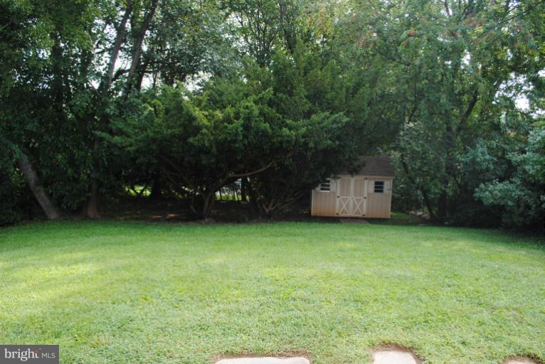 10609 Amherst Avenue Silver Spring, MD 20902 - Photo 4 of 21 Exterior (Rear)