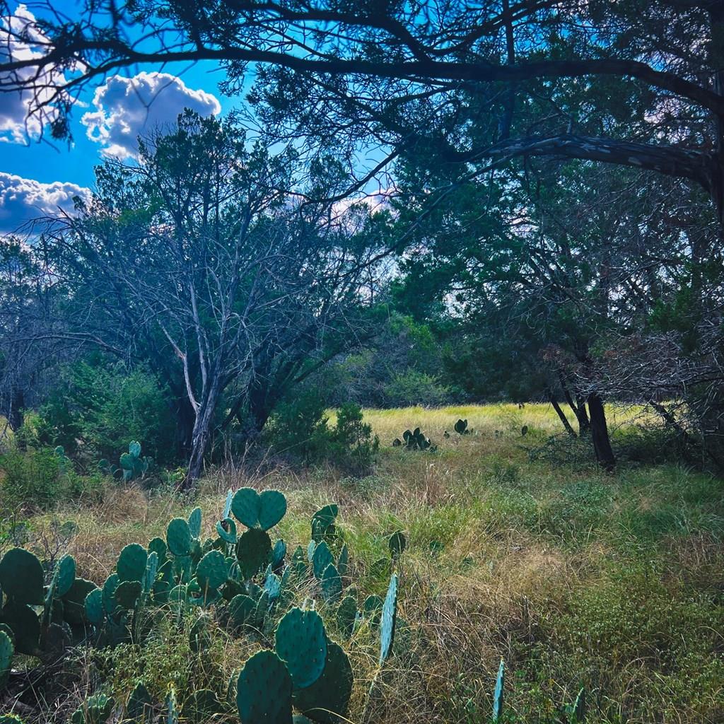 163 Angus Trail, Unit 1 Spring Branch, TX 78070 - Photo 1 of 5 a view of a yard