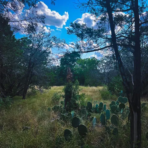 $27,000 | 163 Angus Trail, Unit 1, Spring Branch, TX 78070