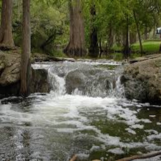 163 Angus Trail, Unit 1 Spring Branch, TX 78070 - Photo 3 of 5 a view of a yard with a tree