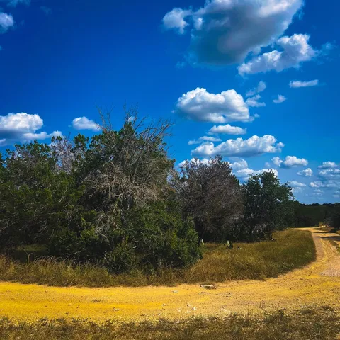 $27,000 | 163 Angus Trail, Unit 1, Spring Branch, TX 78070