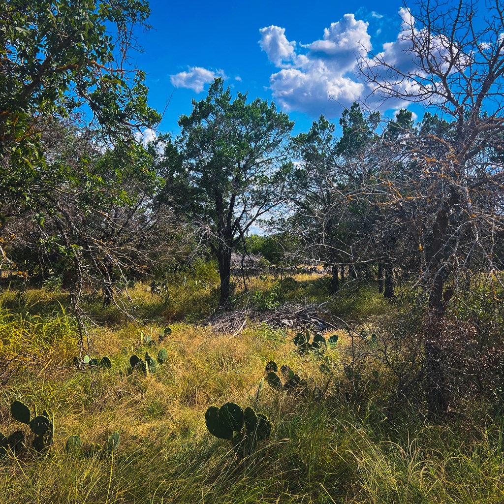 163 Angus Trail, Unit 1 Spring Branch, TX 78070 - Photo 5 of 5 a view of a yard