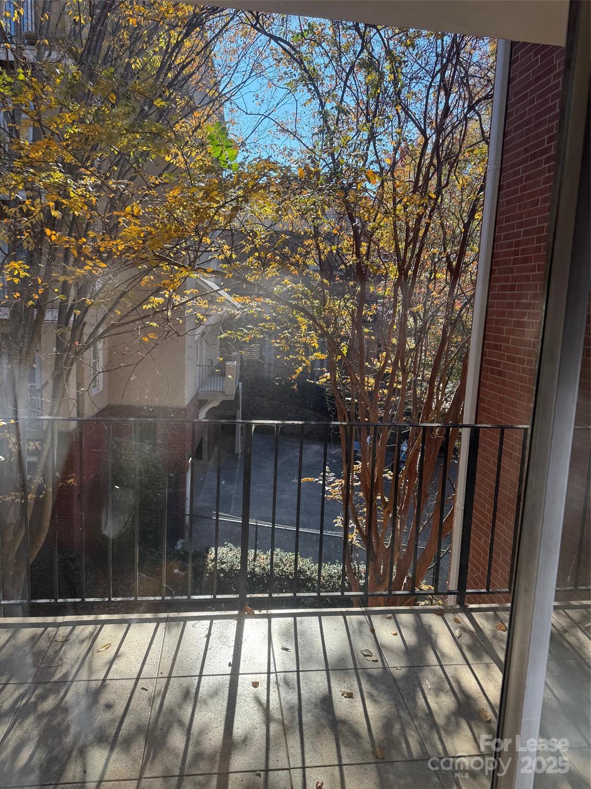 400 Queens Road Charlotte, NC 28207 - Photo 13 of 15 a view of backyard with large tree