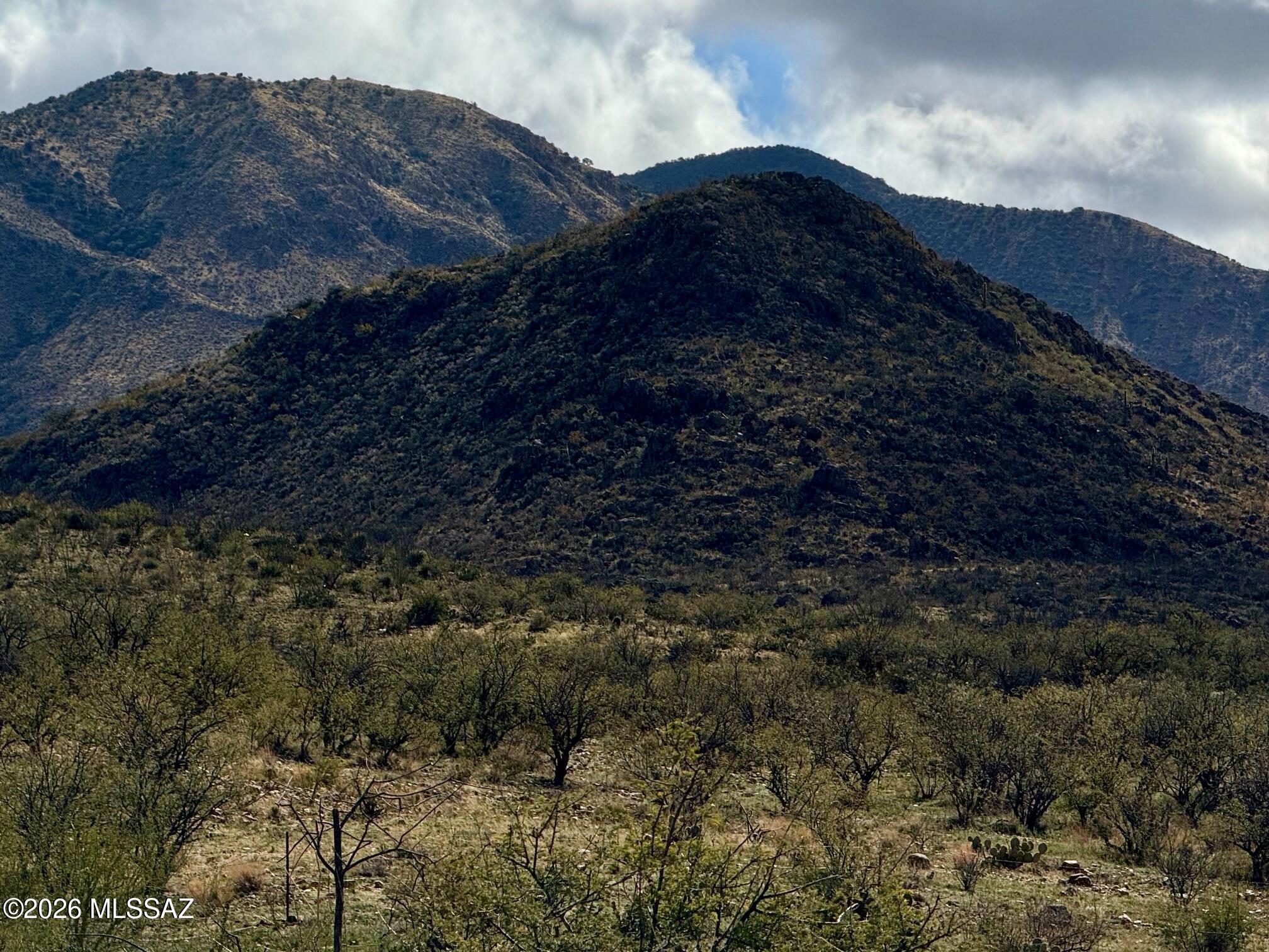 17027 South Sierrita Mountain Road Tucson, AZ 85736 - Photo 7 of 34 a view of a house in a forest