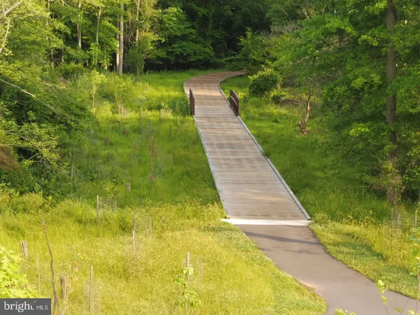 a view of a pathway both side of yard