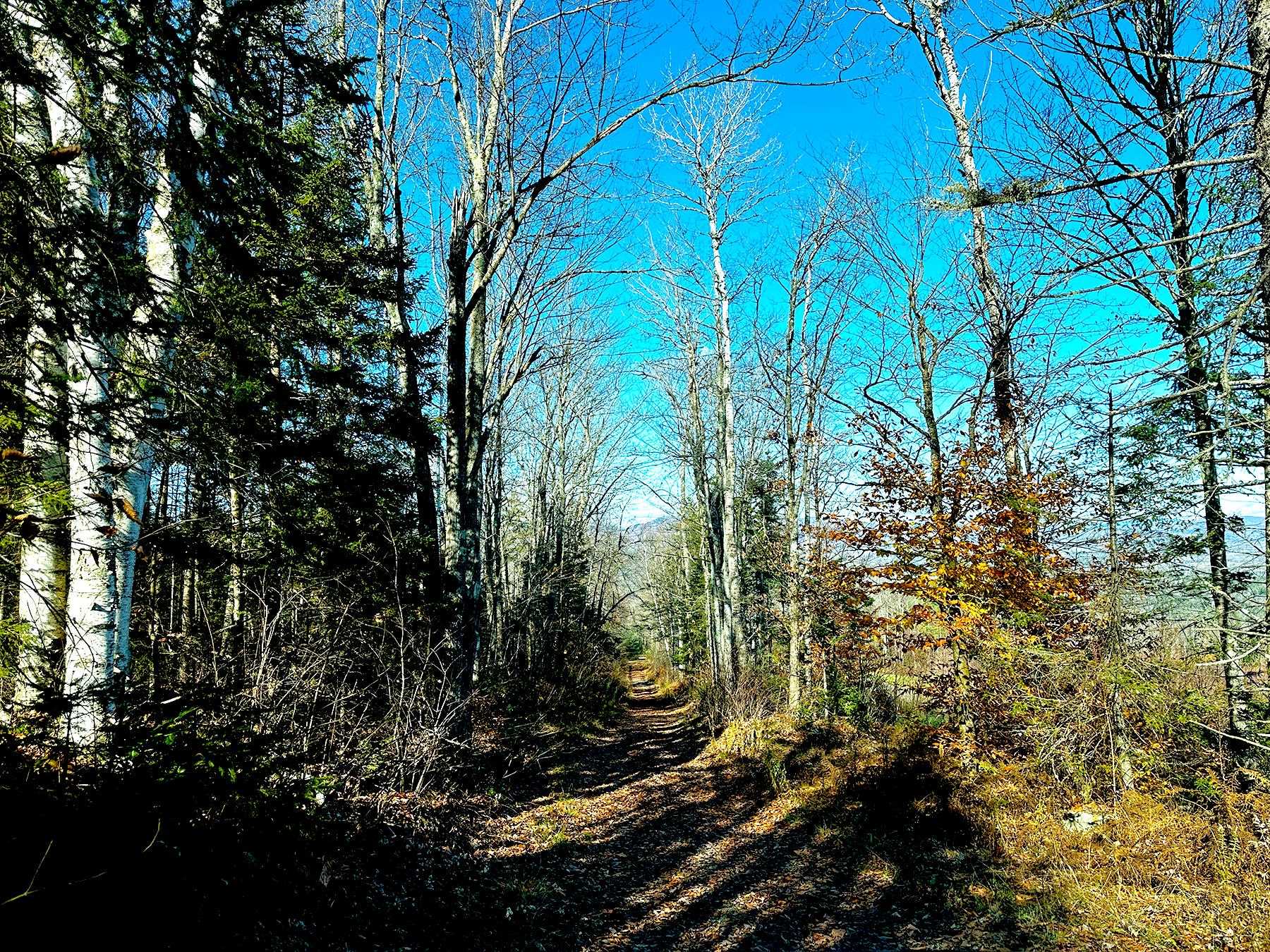 0 Buck Road Dalton, NH 03598 - Photo 15 of 19 Gallery Image 15