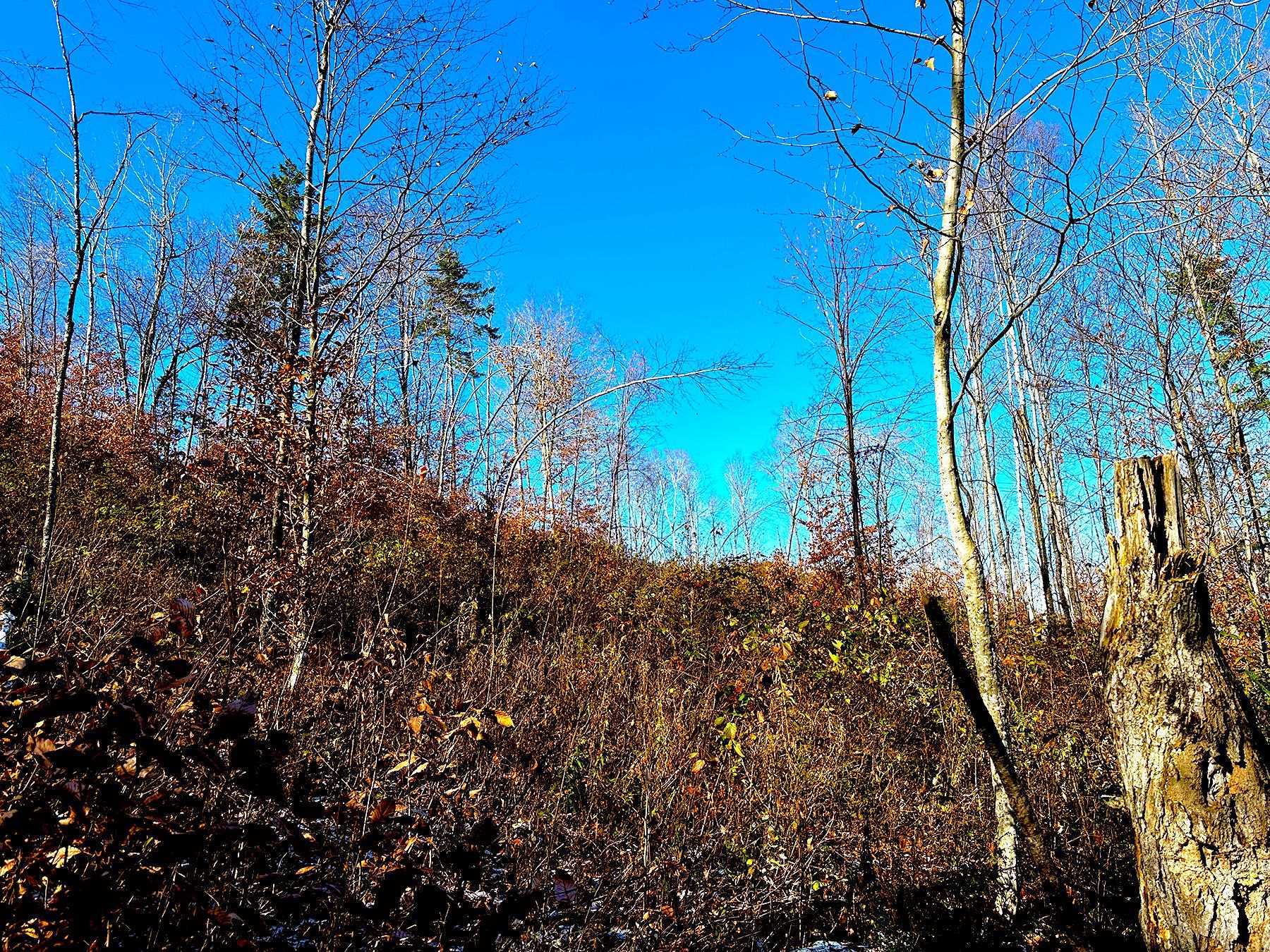 0 Buck Road Dalton, NH 03598 - Photo 17 of 19 Gallery Image 17