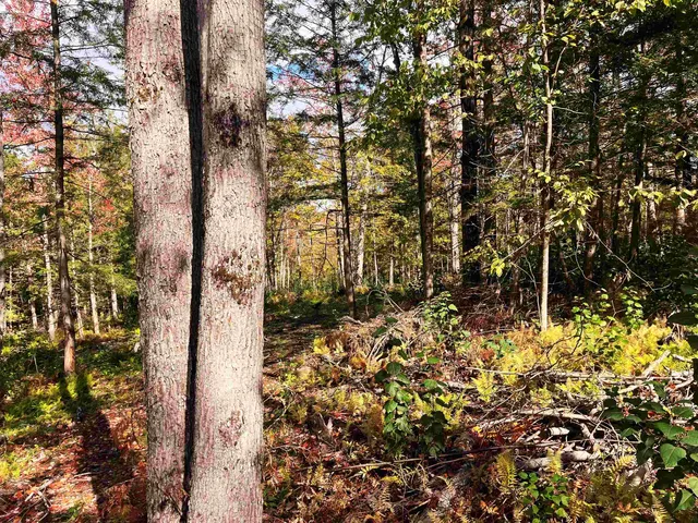 $199,000 | 0 Duck Pond Road, Barton, VT 05822