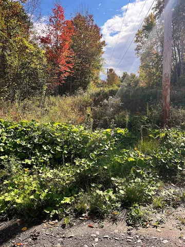 $199,000 | 0 Duck Pond Road, Barton, VT 05822