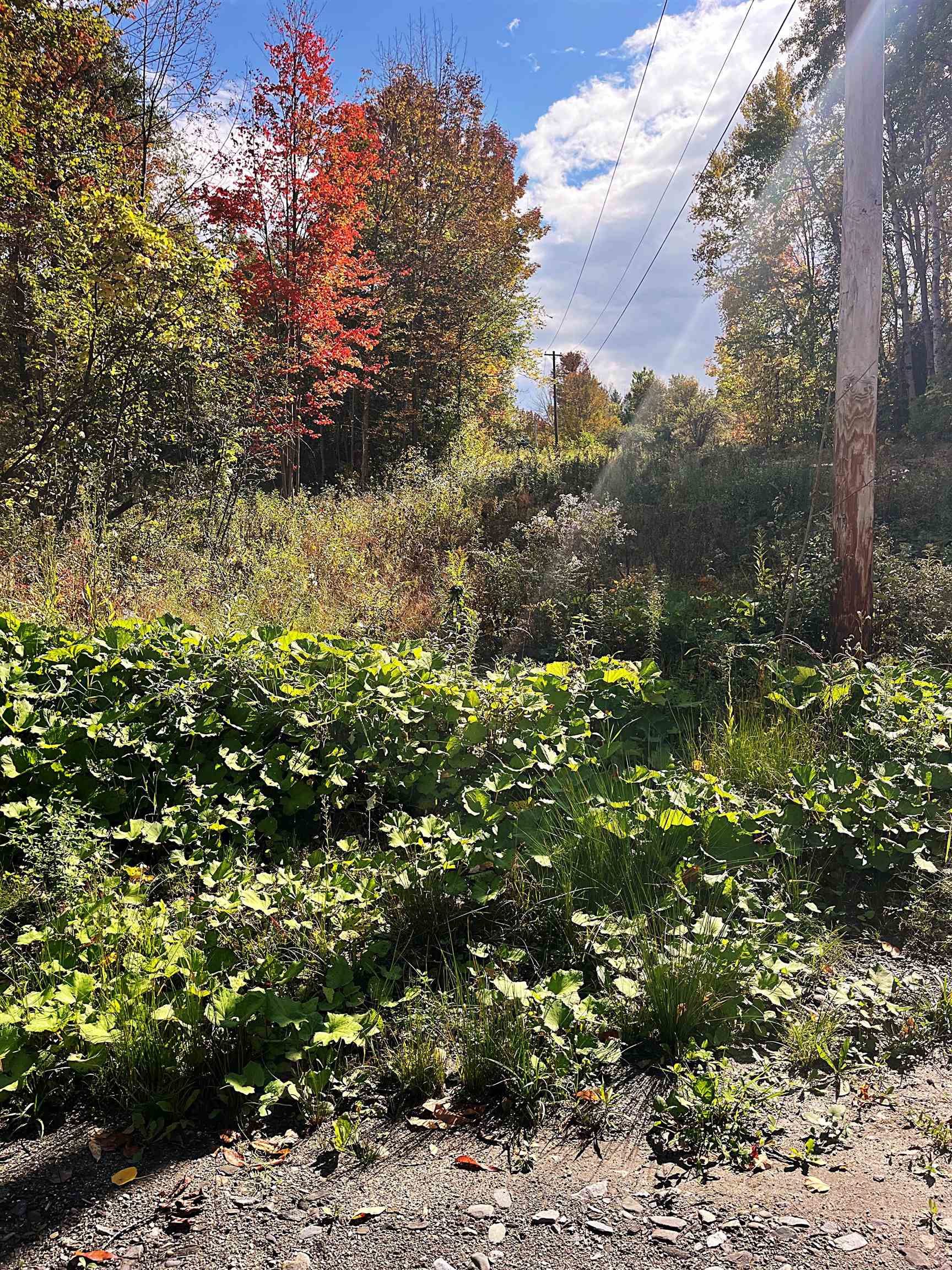 0 Duck Pond Road Barton, VT 05822 - Photo 5 of 5