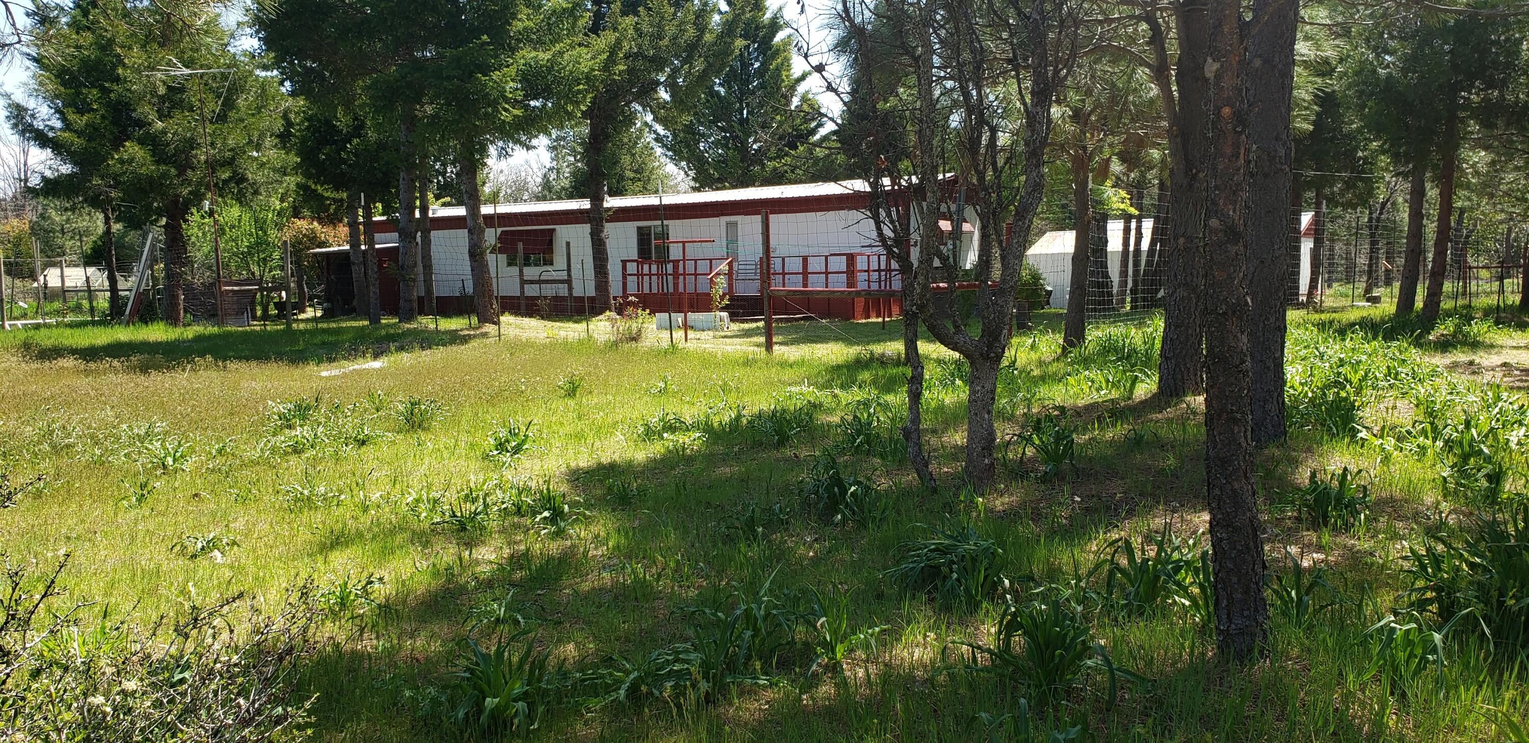 Fenced area around home- help keep Deer out of yard area.