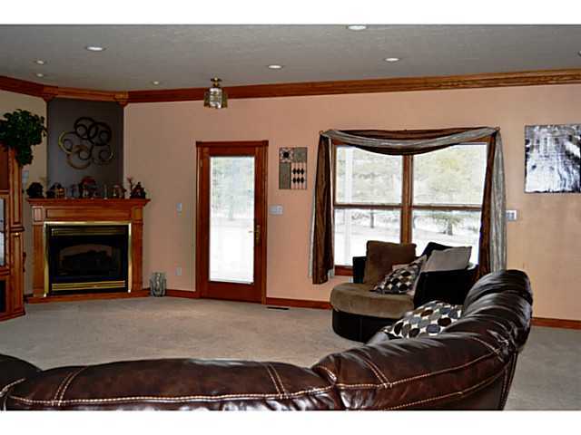 1368 Dale Ford Road Delaware, OH 43015 - Photo 4 of 25