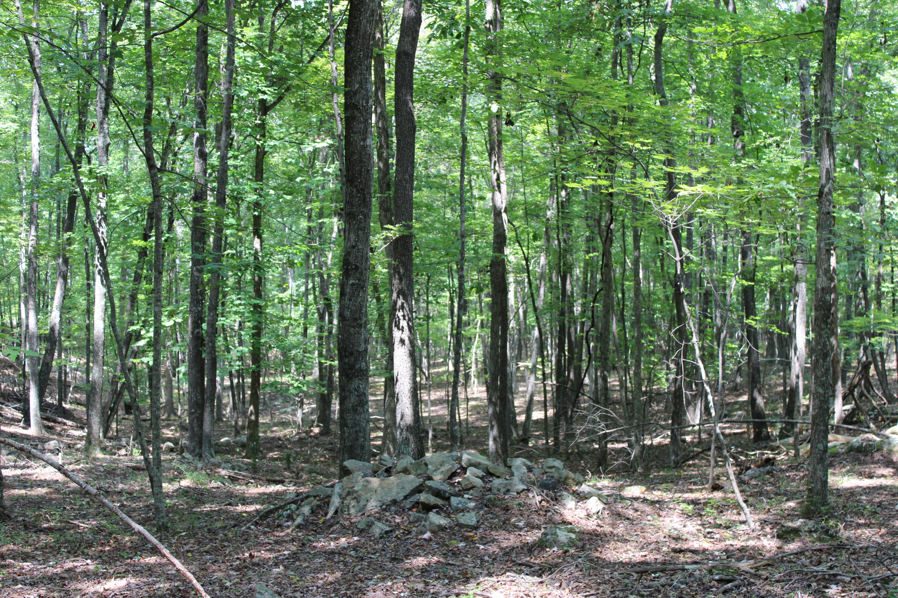 2816 Johns Creek Road New Castle, VA 24127 - Photo 40 of 96 IMG_0036