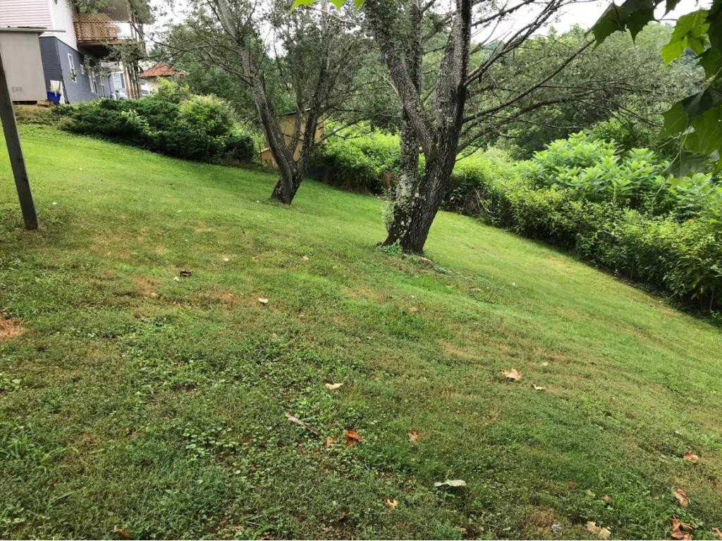 1102 Reece Hill Road Mountain City, TN 37683 - Photo 29 of 33 Photo 29