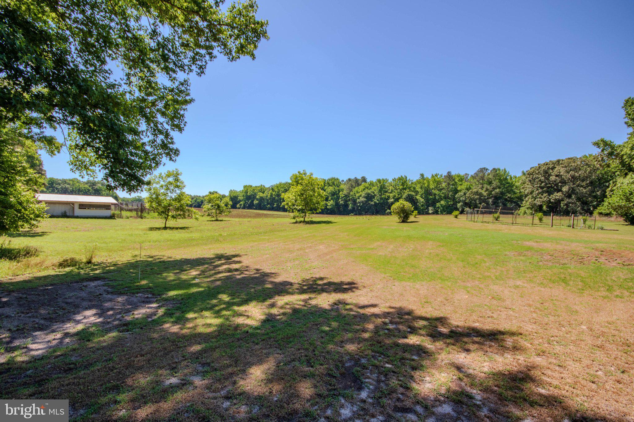 31749 Morris Leonard Road Parsonsburg, MD 21849 - Photo 28 of 40 Spacious green landscape under blue skies.