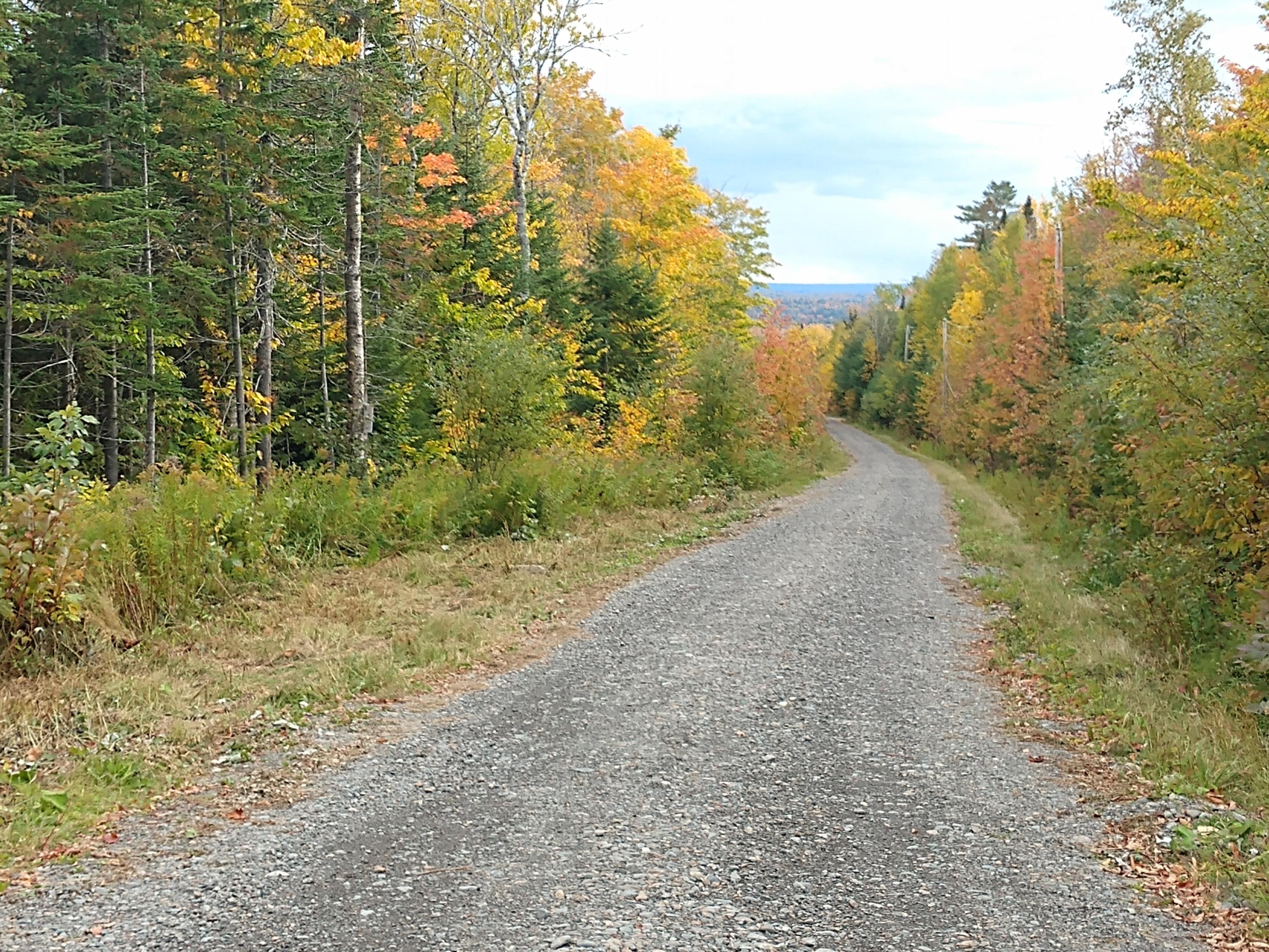 Off South Oakfield Road Linneus, ME 04730 - Photo 17 of 18 IMG_20191004_154734299