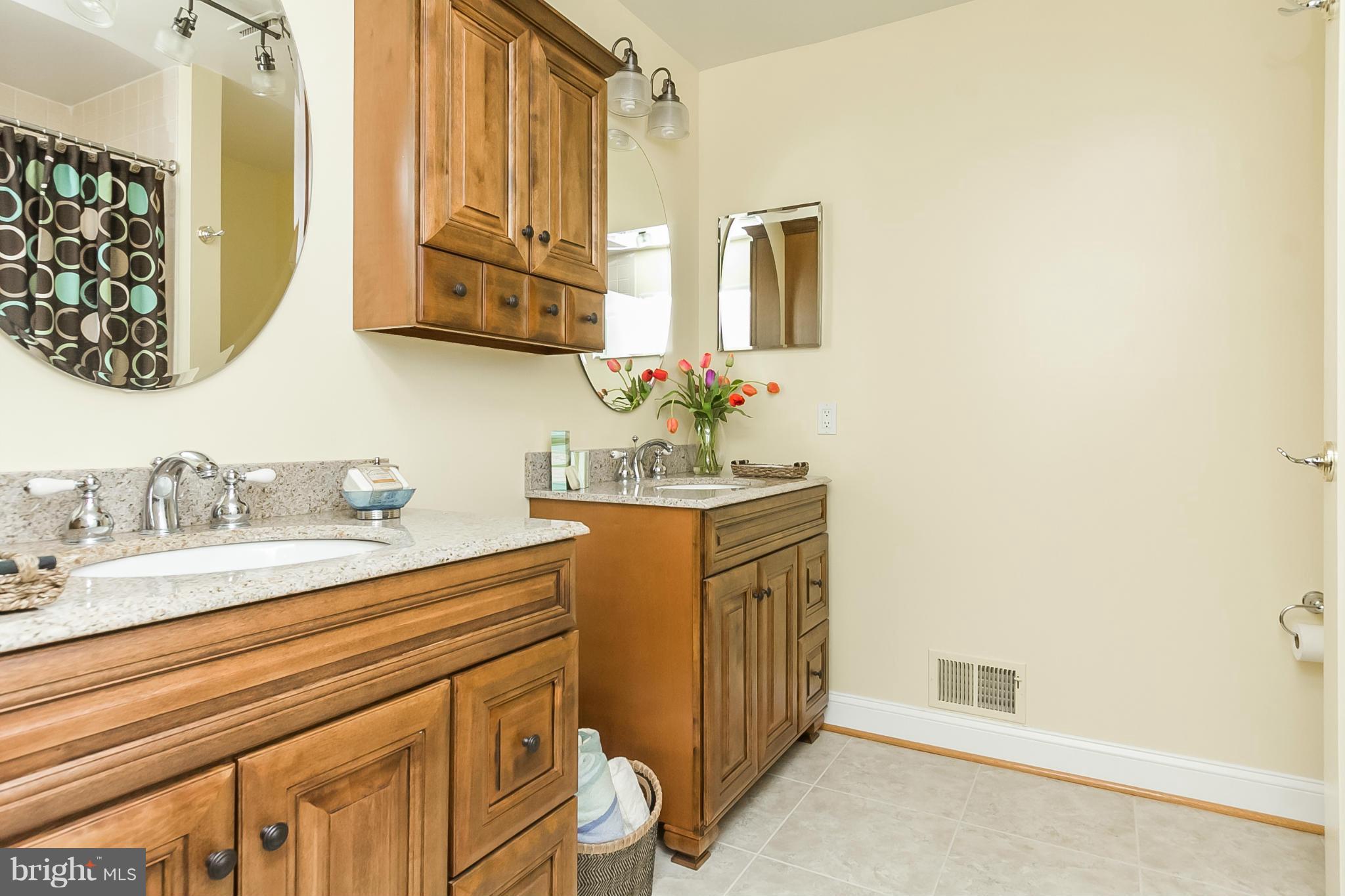 8045 Murphy Road Fulton, MD 20759 - Photo 18 of 30 Splendid Updated Hall Bath