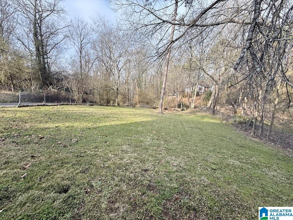 6602 Davison Road Pinson, AL 35126 - Photo 5 of 18