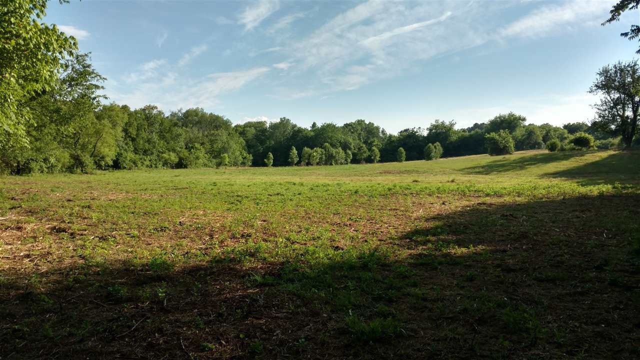 0 County Road 716 Riceville, TN 37370 - Photo 1 of 1