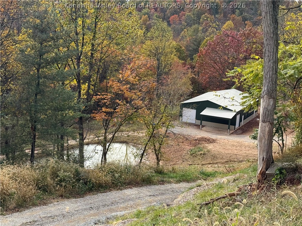 Gallery Image 6