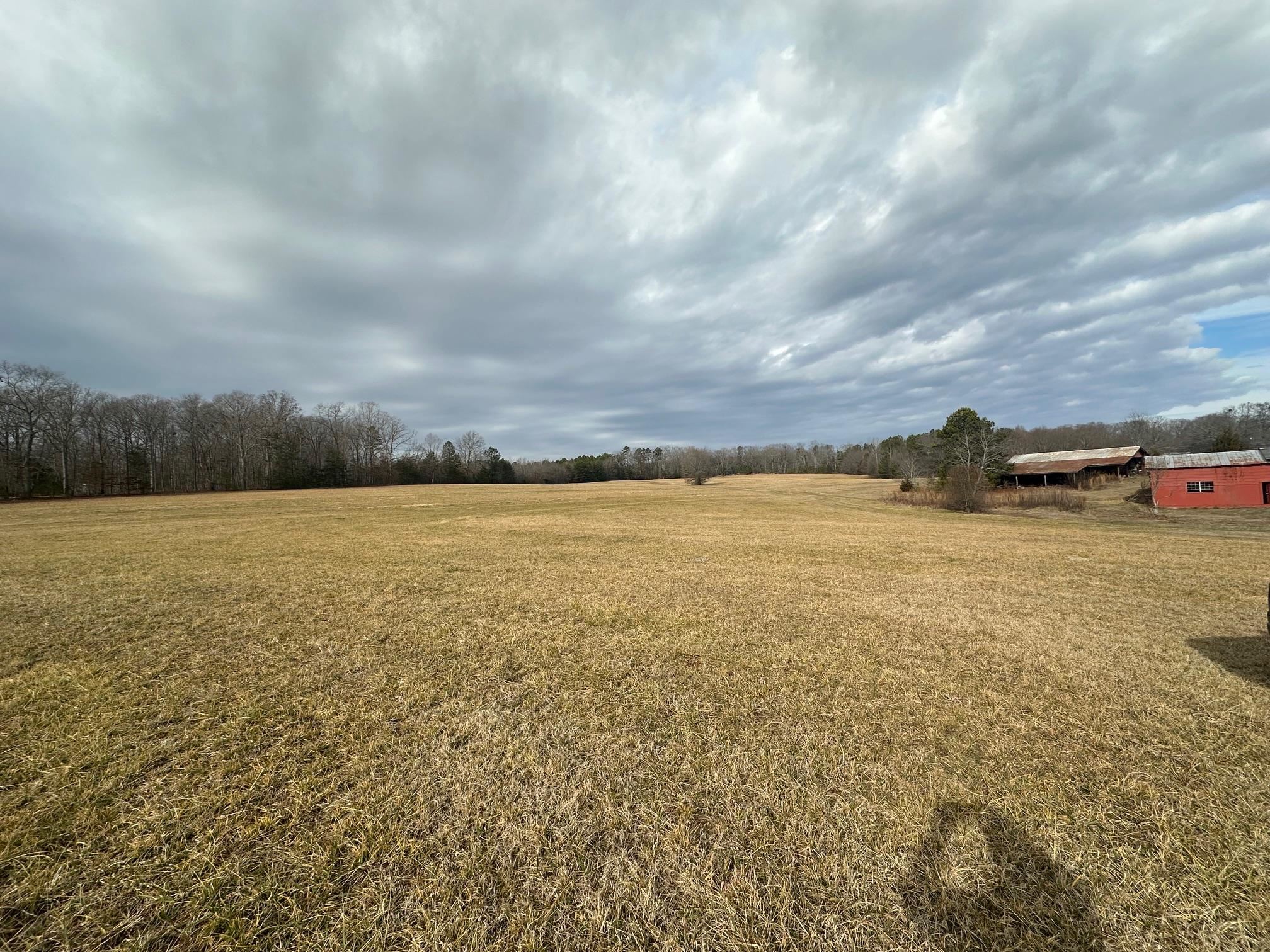 174 Peach Shed Road Chesnee, SC 29323 - Photo 11 of 20
