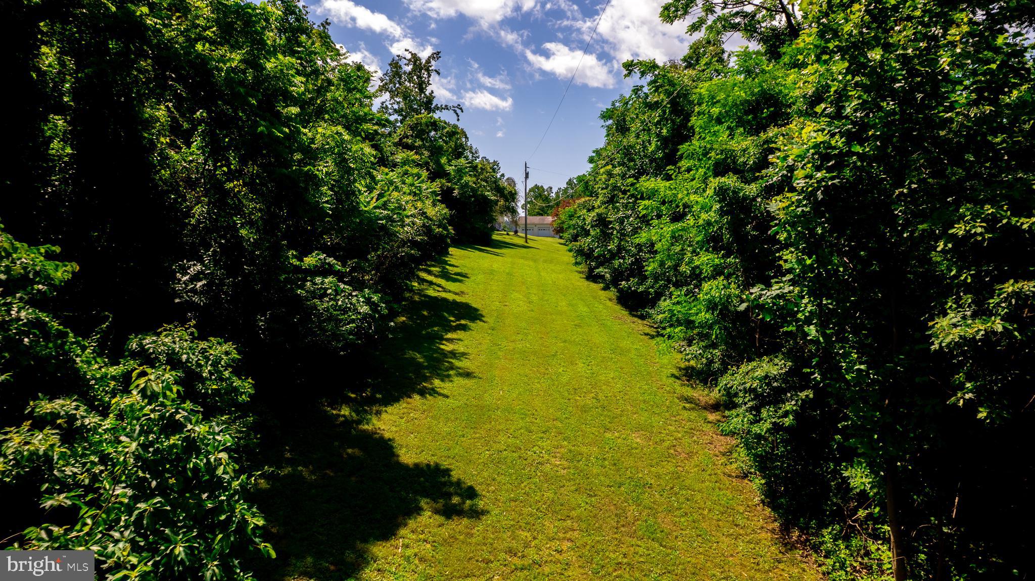 4179 Fiery Run Road Linden, VA 22642 - Photo 55 of 80 Land