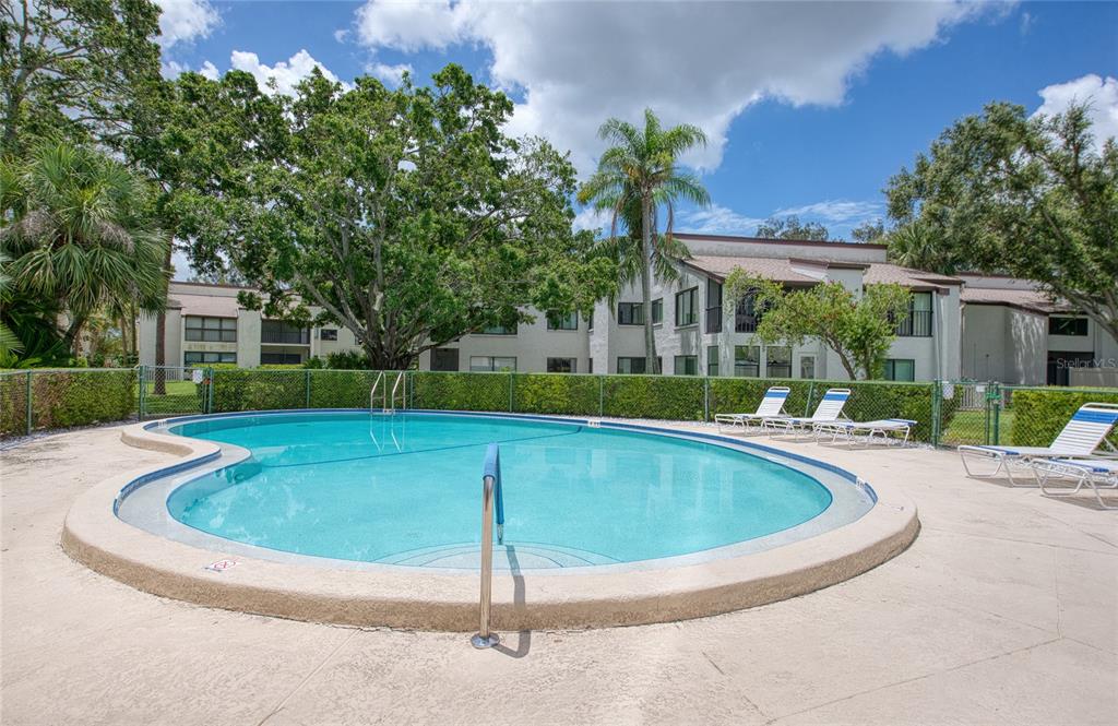 700 Starkey Road, Unit 1145 Largo, FL 33771 - Photo 45 of 63 a view of swimming pool with patio