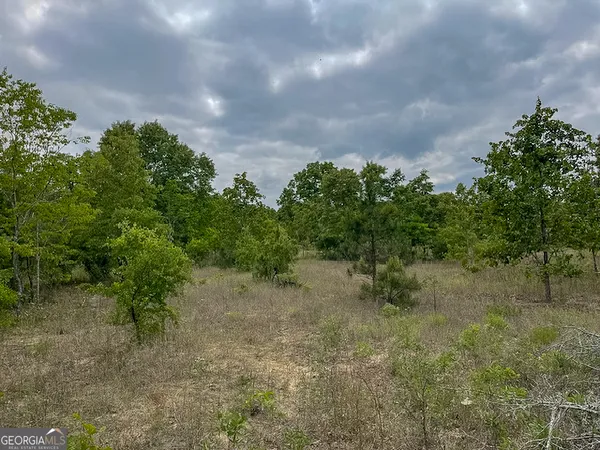 $319,000 | 62 Brannon Montgomery Road, Mauk, GA 31058