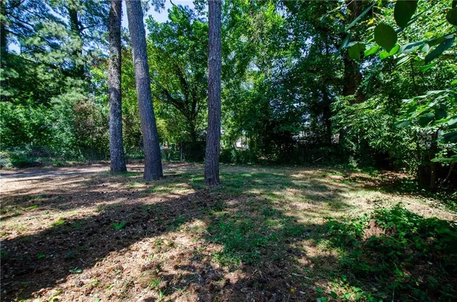 a view of a tree with a yard