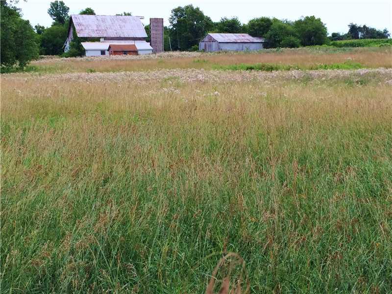 8850 Paddock Camby, IN 46113 - Photo 2 of 6 Gallery Image 2