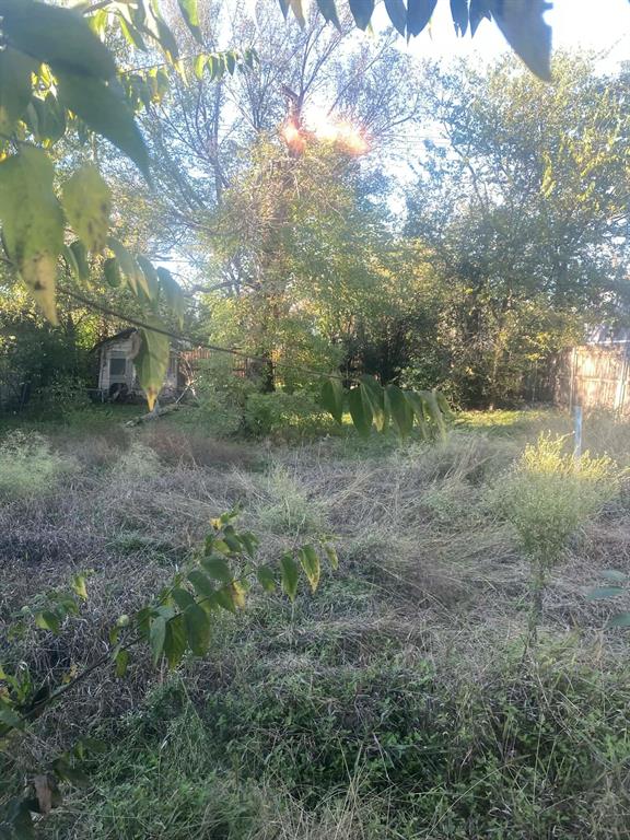 3103 Homan Avenue Waco, TX 76707 - Photo 4 of 4 a view of a forest filled with trees