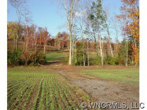 Xx Landrum Road Columbus, NC 28722 - Photo 2 of 8 a view of a yard with plants and trees