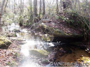 Xx Landrum Road Columbus, NC 28722 - Photo 3 of 8 a view of lot of trees