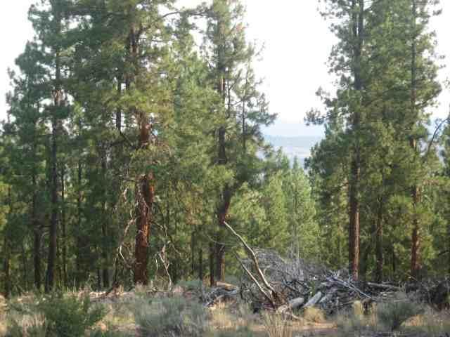 10 Oregon Pines Chiloquin, OR 97639 - Photo 2 of 2 Additional Photo