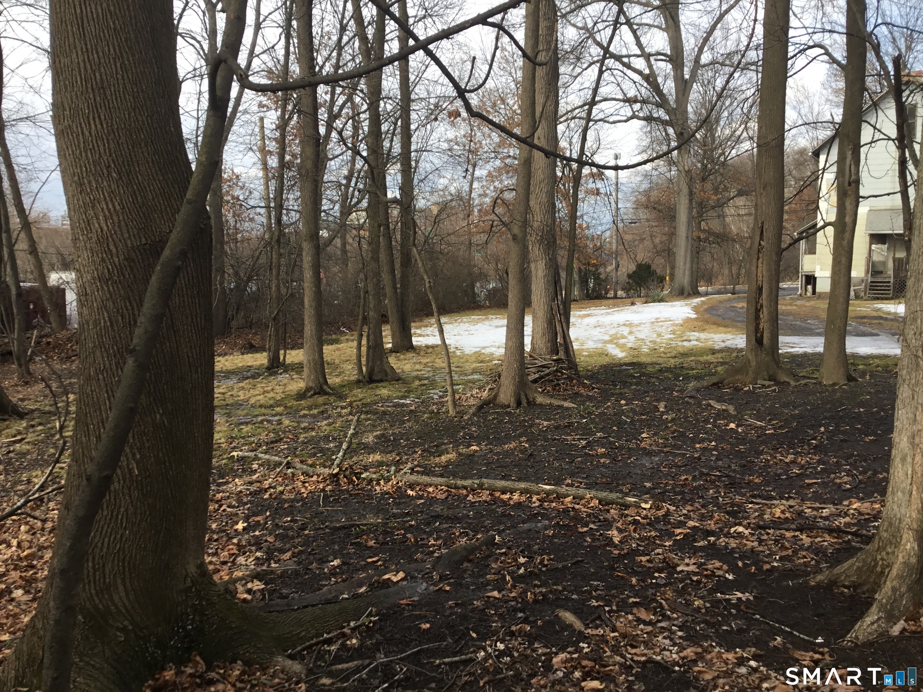117 Hamilton Street Hartford, CT 06106 - Photo 4 of 6 a backyard of a house with lots of green space