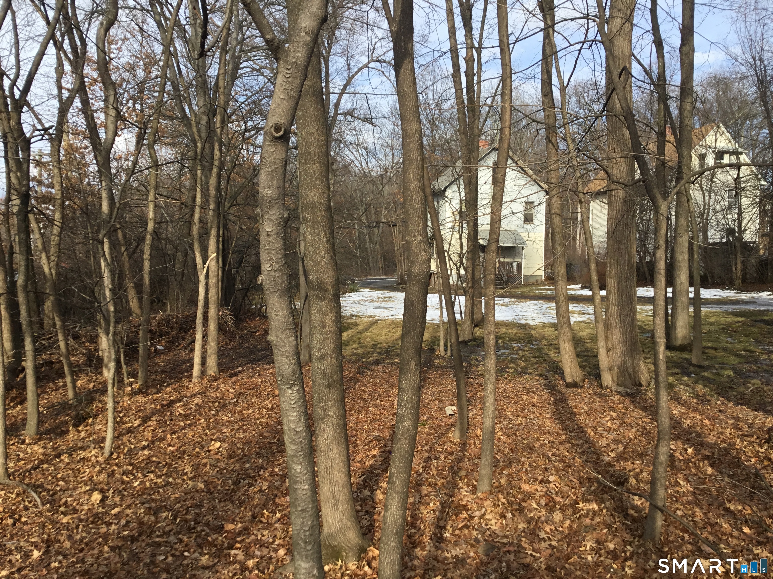 117 Hamilton Street Hartford, CT 06106 - Photo 5 of 6 a view of yard