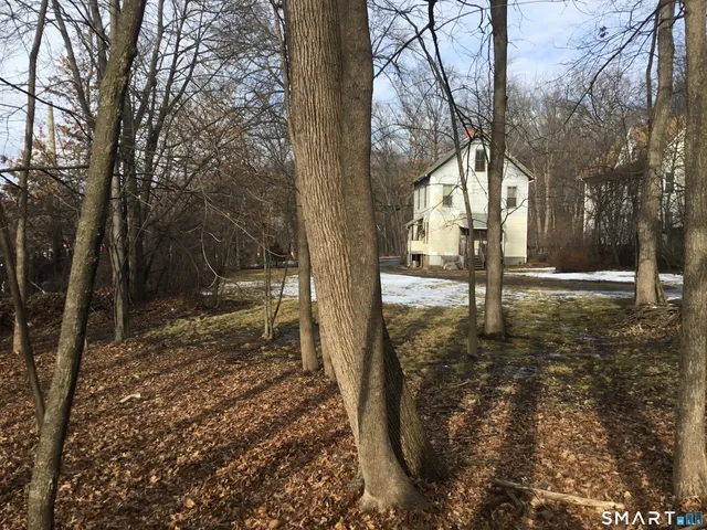 a view of a yard with large tree
