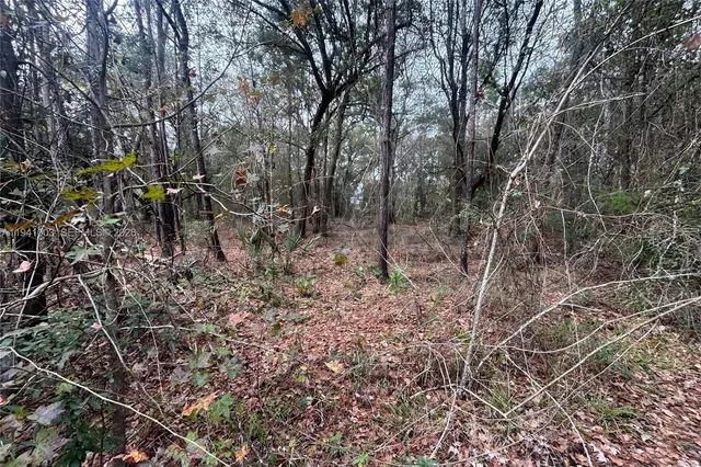 $85,000 | 0 Landward Lane, Middleburg, FL 32068